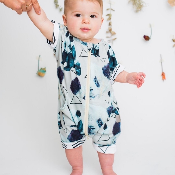 Little yogi *** RESEARCH** - Picture 5 of 6